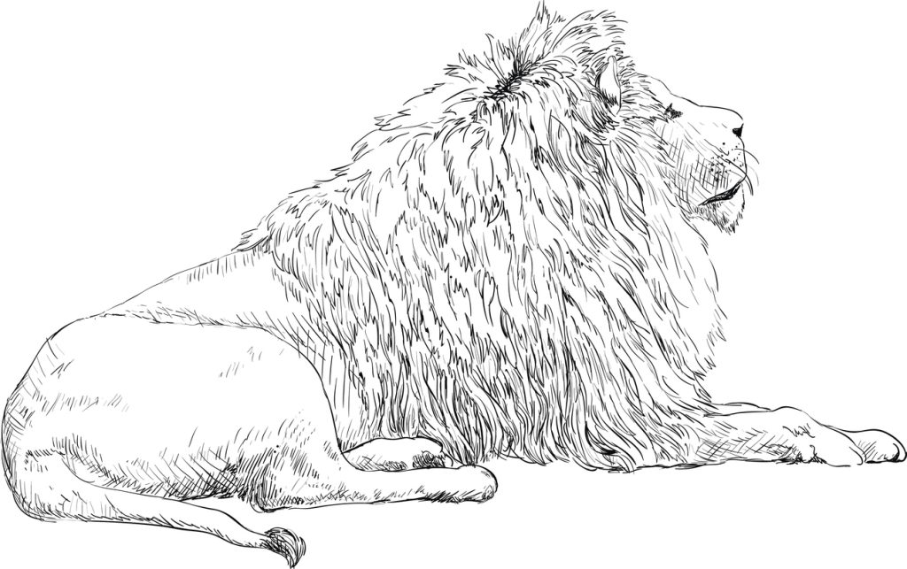 Kako nacrtati lava: Vektorska ilustracija lava