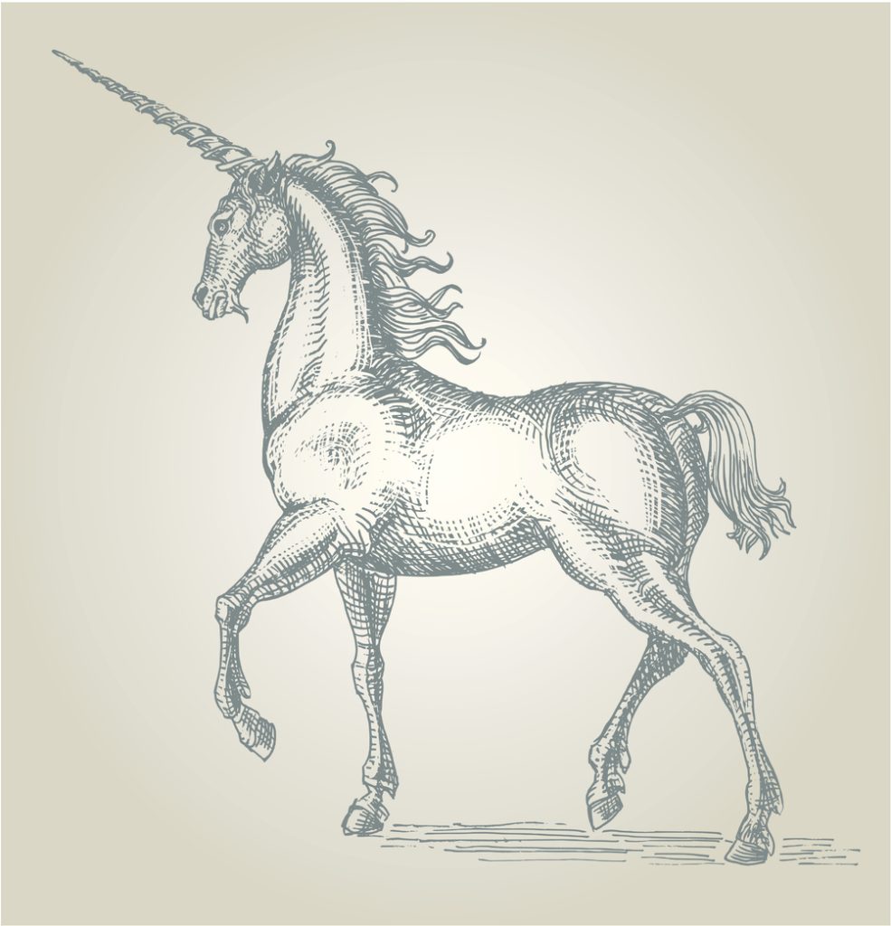 Ilustracija jednoroga olovkom