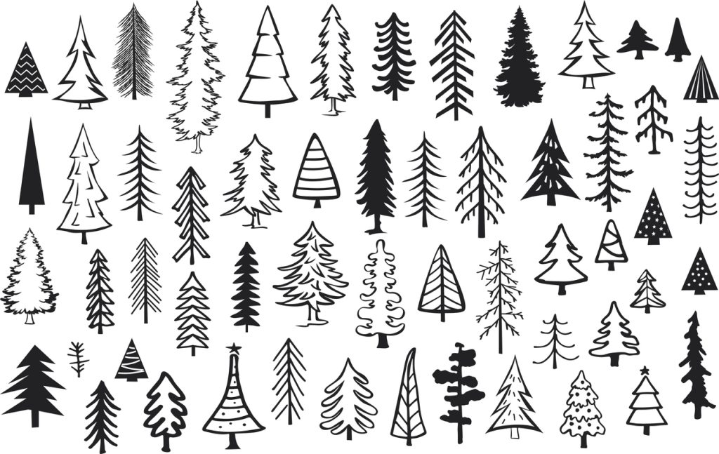 kako nacrtati bor - korak po korak